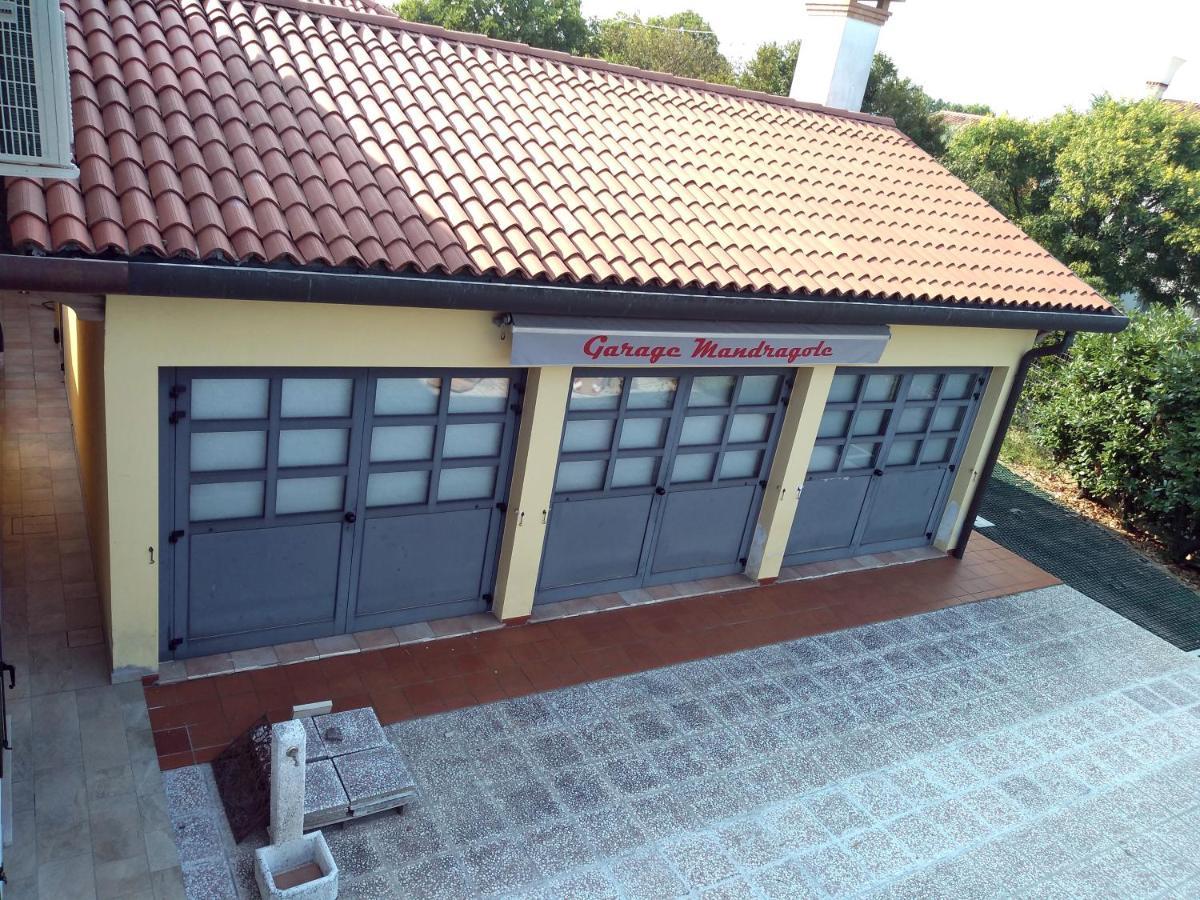 Le Mandragole B&B Roncade Exterior photo
